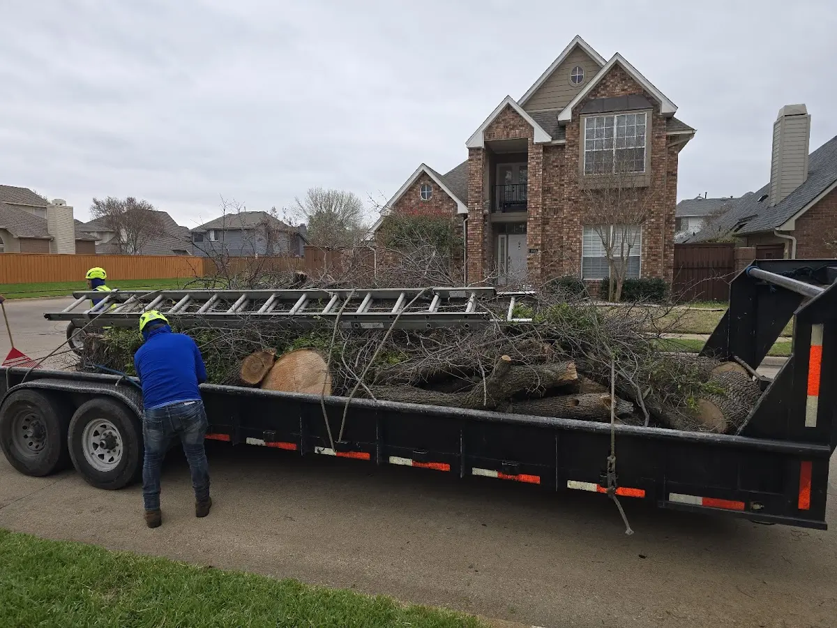 Expert Tree Pest Control with proper safety equipment in Cambridge